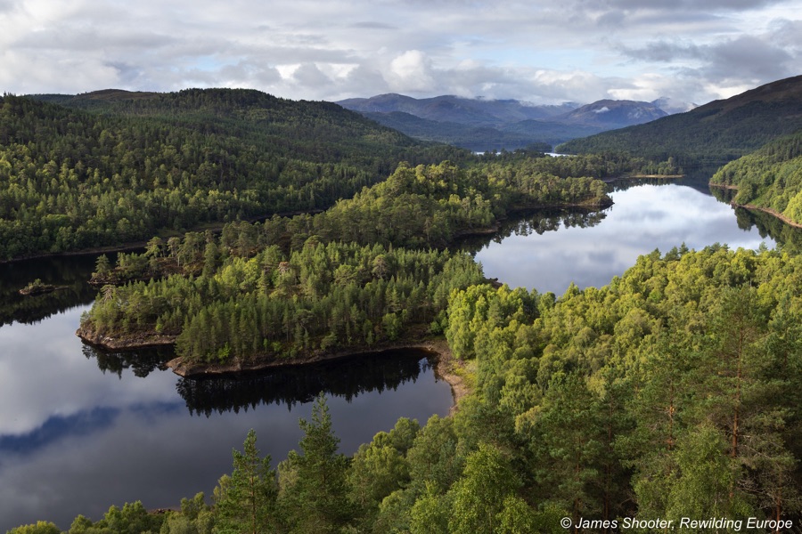 Glen Affric from the air